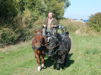 Gespann mit Black und Jack