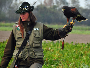 Aufstellung zur Jagd