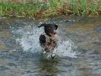 Wasser2